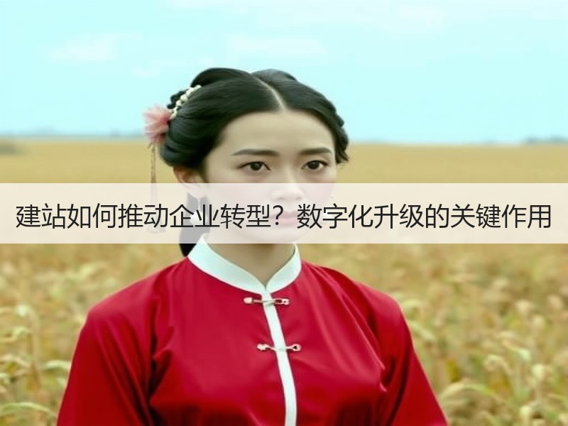 建站如何推动企业转型？数字化升级的关键作用