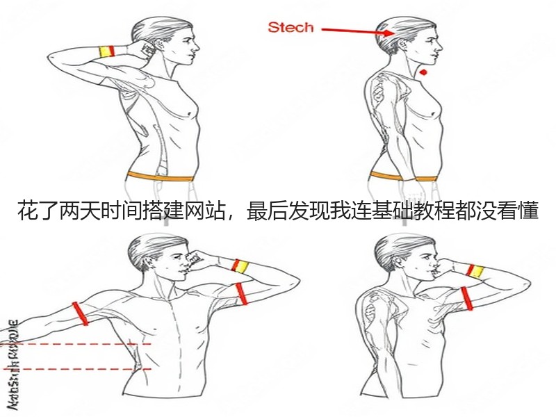 花了两天时间搭建网站，最后发现我连基础教程都没看懂