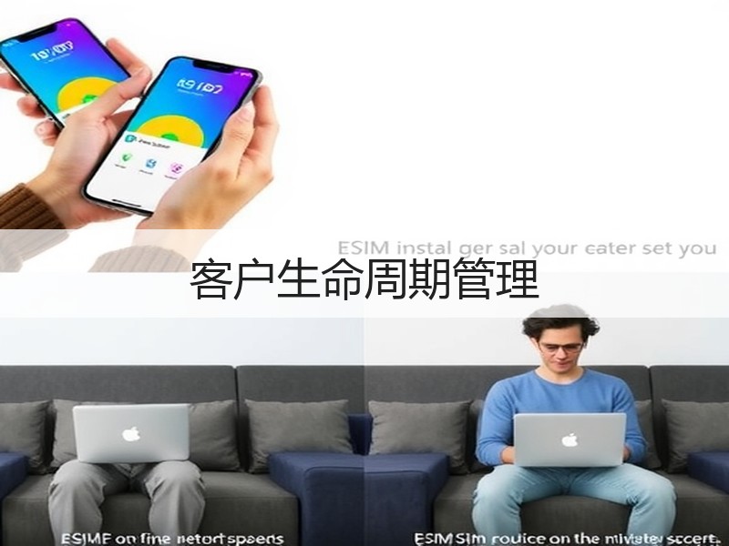 客户生命周期管理