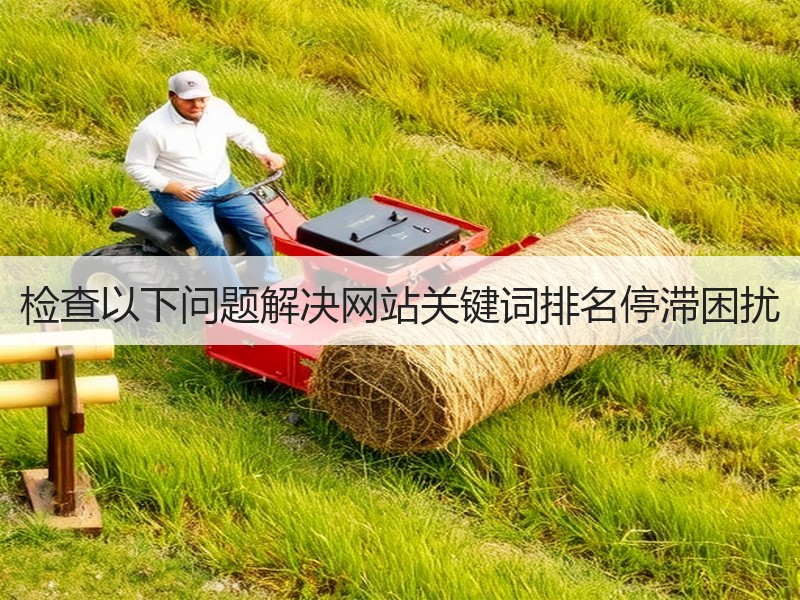 检查以下问题解决网站关键词排名停滞困扰