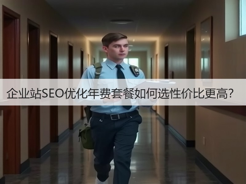 企业站SEO优化年费套餐如何选性价比更高？