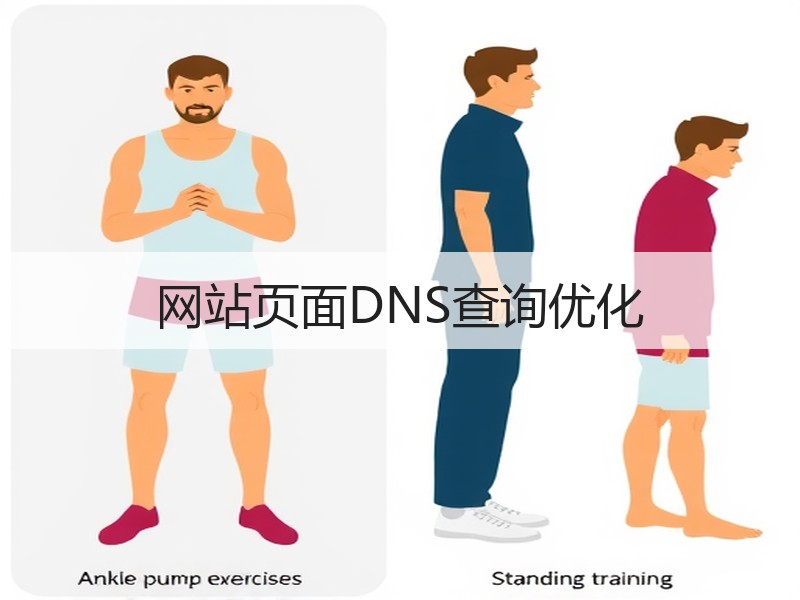 网站页面DNS查询优化