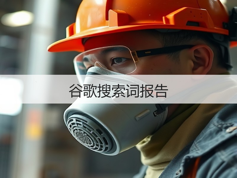 谷歌搜索词报告
