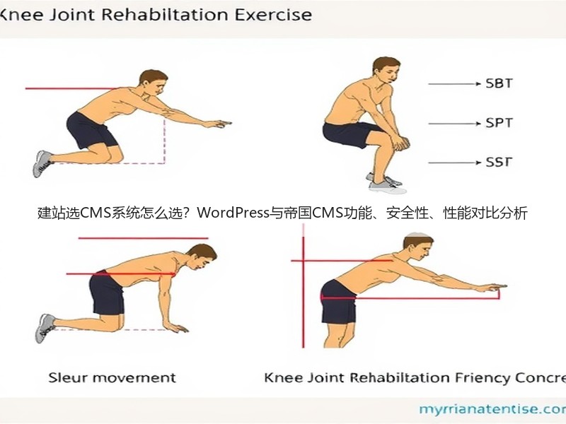 建站选CMS系统怎么选？WordPress与帝国CMS功能、安全性、性能对比分析