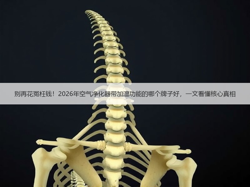 别再花冤枉钱！2026年空气净化器带加湿功能的哪个牌子好，一文看懂核心真相