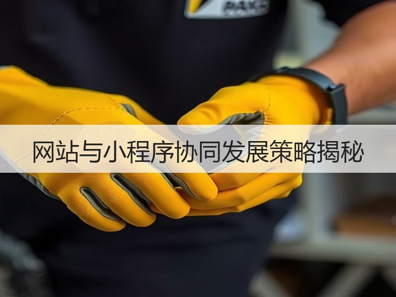 网站与小程序协同发展策略揭秘