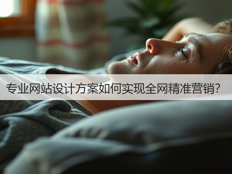 专业网站设计方案如何实现全网精准营销？