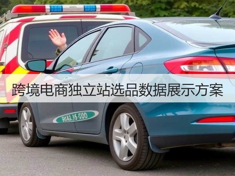 跨境电商独立站选品数据展示方案