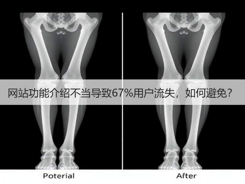 网站功能介绍不当导致67%用户流失，如何避免？