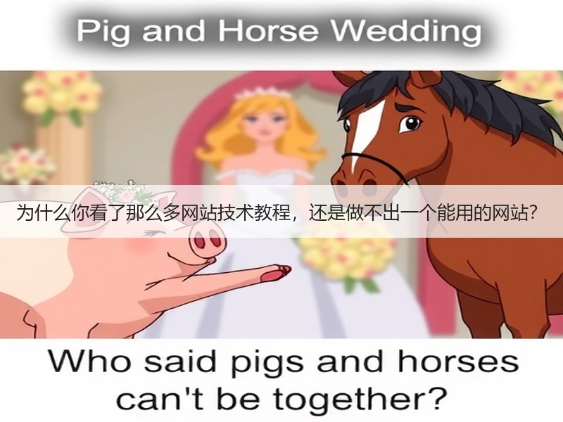 为什么你看了那么多网站技术教程，还是做不出一个能用的网站？