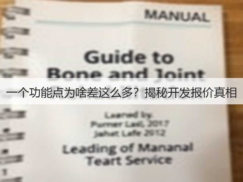 一个功能点为啥差这么多？揭秘开发报价真相