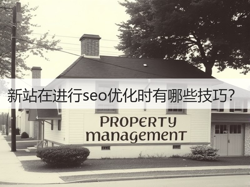 新站在进行seo优化时有哪些技巧？