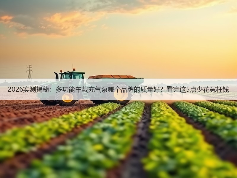 2026实测揭秘：多功能车载充气泵哪个品牌的质量好？看完这5点少花冤枉钱