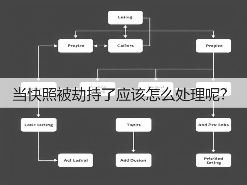 当快照被劫持了应该怎么处理呢？