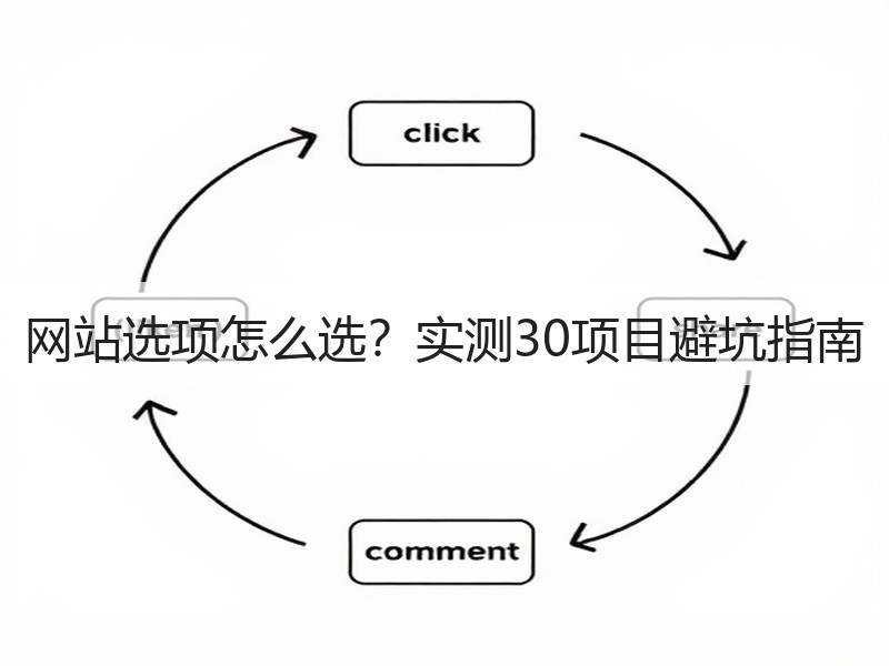 网站选项怎么选？实测30项目避坑指南