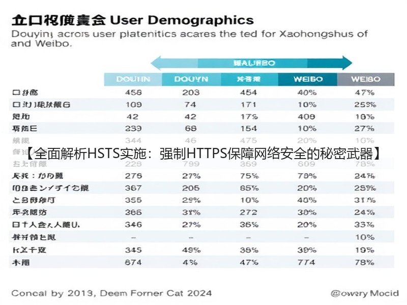【全面解析HSTS实施：强制HTTPS保障网络安全的秘密武器】