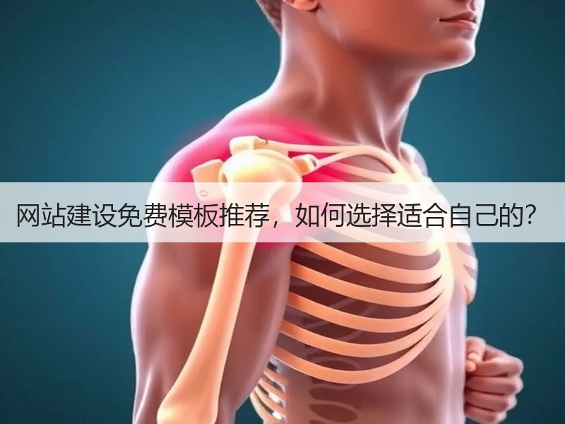 网站建设免费模板推荐，如何选择适合自己的？