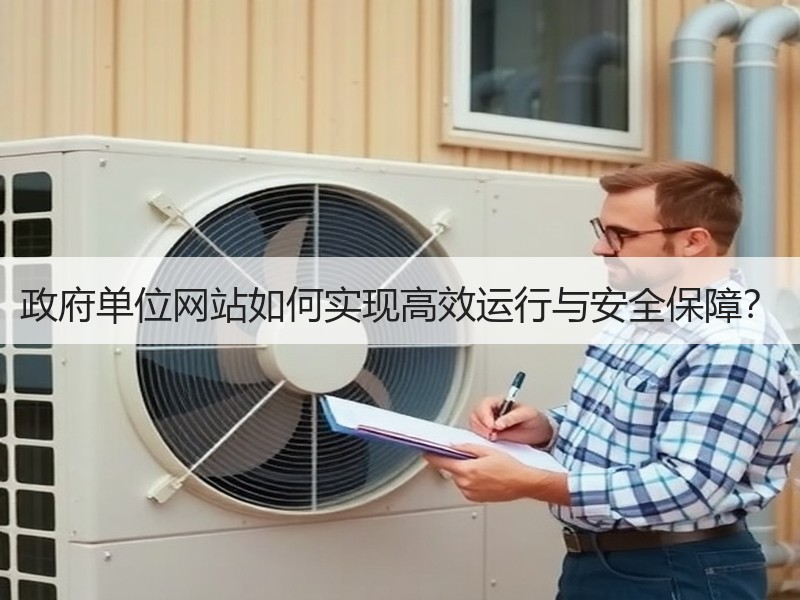 政府单位网站如何实现高效运行与安全保障？