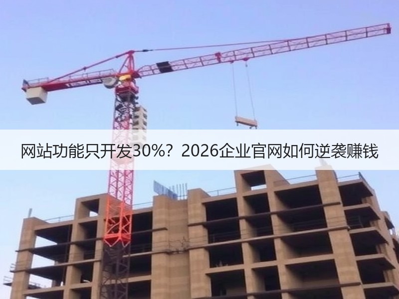 网站功能只开发30%？2026企业官网如何逆袭赚钱
