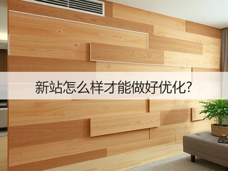 新站怎么样才能做好优化?